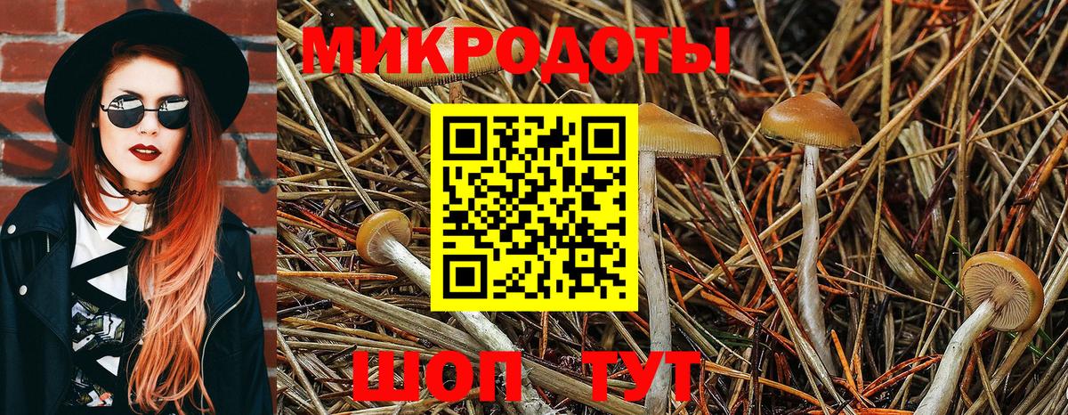 Псилоцибиновые грибы ЛСД Грязи